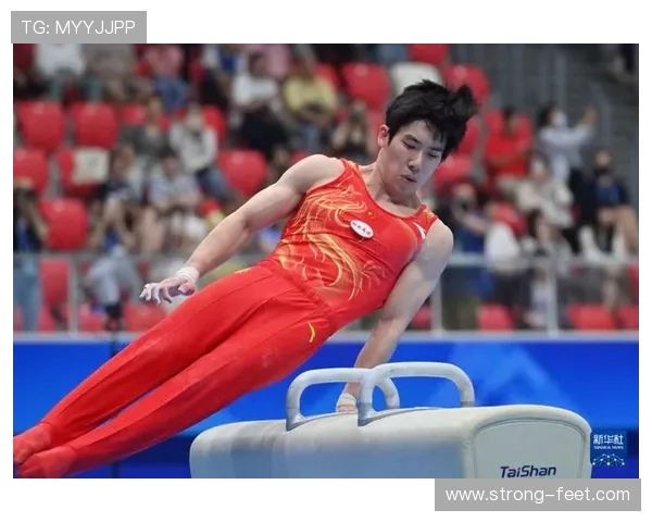 张博恒谈对体操艺术的全景解